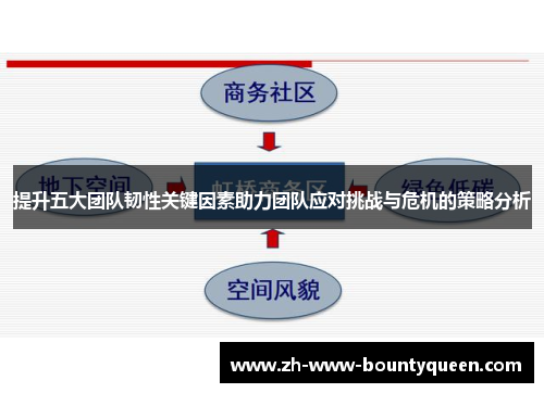 提升五大团队韧性关键因素助力团队应对挑战与危机的策略分析